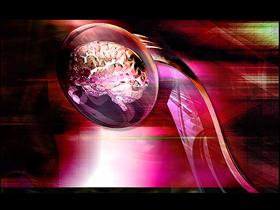 Brainwaves