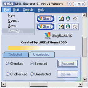 MSN Exp v5
