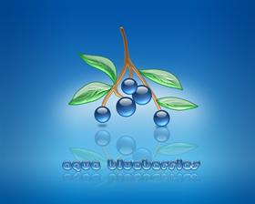 AquaBlueberries