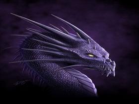 Purple Dragon by deligaris