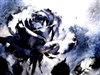 blue rose