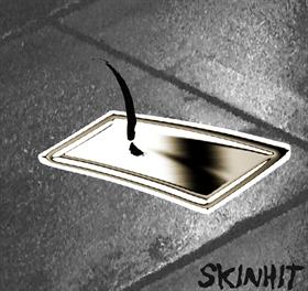 skinhit desktop