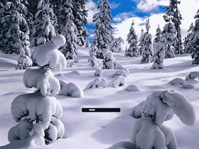 Snow Laden