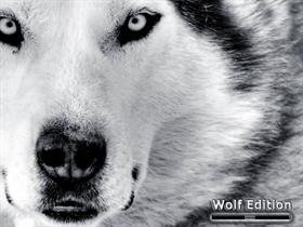 Wolf Edition
