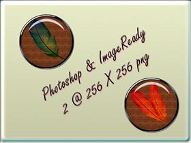 Photoshop & Imageready hardwoods