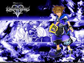 Sora Wisdom