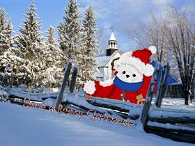 Beary Christmas