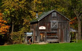 Sugar Shack