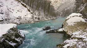 High Forest Snowy Waterfalls