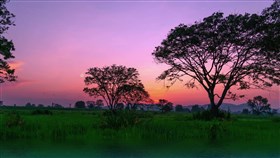 Fabulous Sunset Meadow River