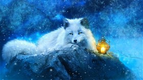 Snowy White Fox