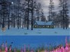 Snowy_Mountain_Cabin_s