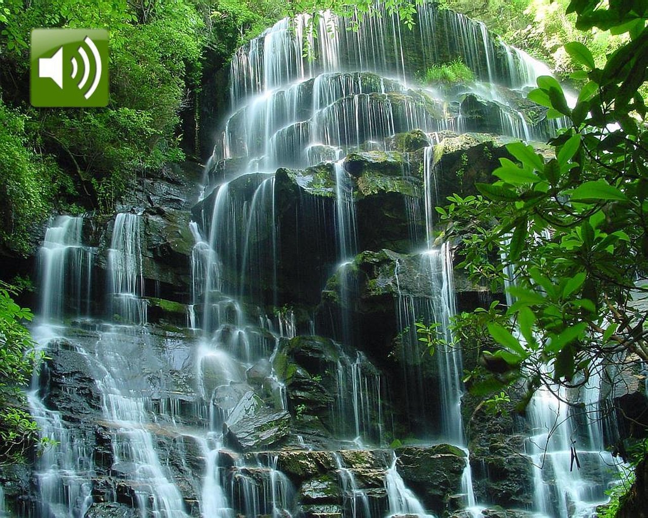 WinCustomize: Explore : Screensavers : Dancing Waterfalls