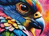 4K Bird of Colors