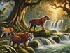4K Tiger Falls