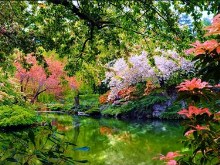 Spring Garden Pond