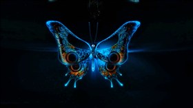 3D Butterfly