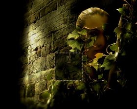 LOOKOUT