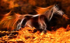 Fire Horse 1