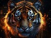 4K Tiger Head