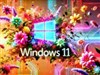 4K Win11 Flowers