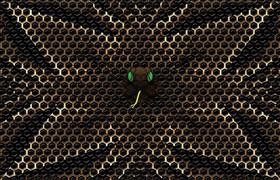Snakebite