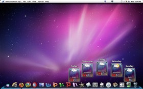 Windows OS X