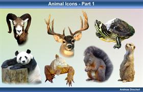 Animal Icons - Part 1