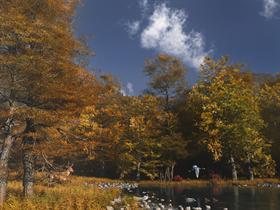 Autumn in the White Mountains