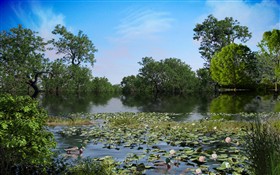 Lily Pond