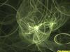 Organic Fusion
