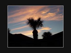 Florida Sunset