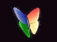 Msn ButterFLy