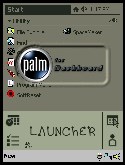 Palm