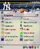 NY Yankees MBL