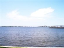 Florida Manatee river shot