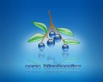 AquaBlueberries