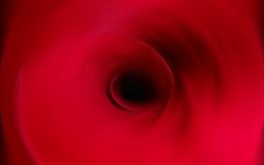 Inside a Rose