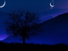 Midnight Falls
