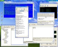 Primary DNS server