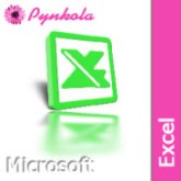 Microsoft Excel