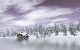 Winter Lake View