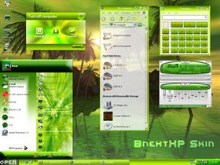 BnextXP Green