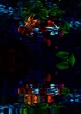 Leaves and Water