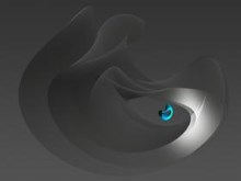 Raven