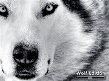 Wolf Edition