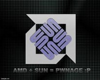 SUN & AMD