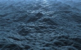 The Ocean