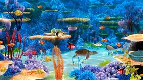 Under the Sea