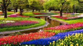 Garden Stream